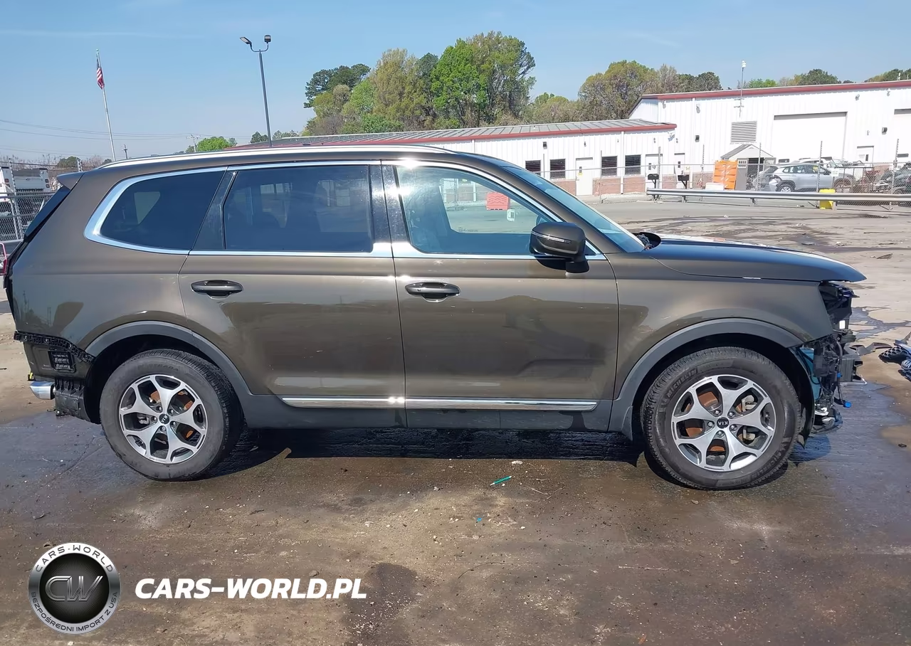 2020 Kia Telluride Ex VIN:5XYP34HC4LG012954 - 14