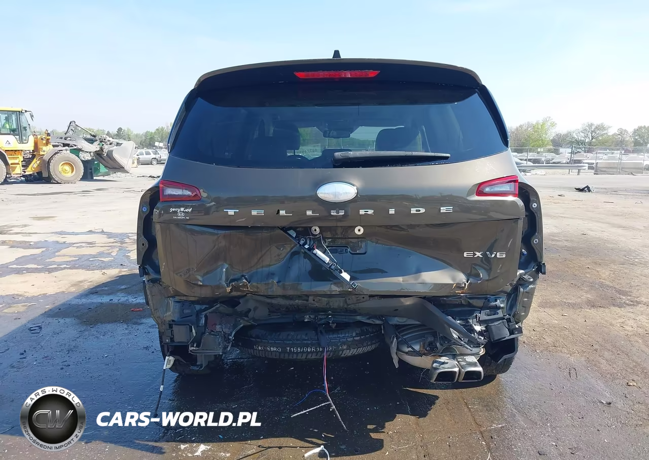 2020 Kia Telluride Ex VIN:5XYP34HC4LG012954 - 17