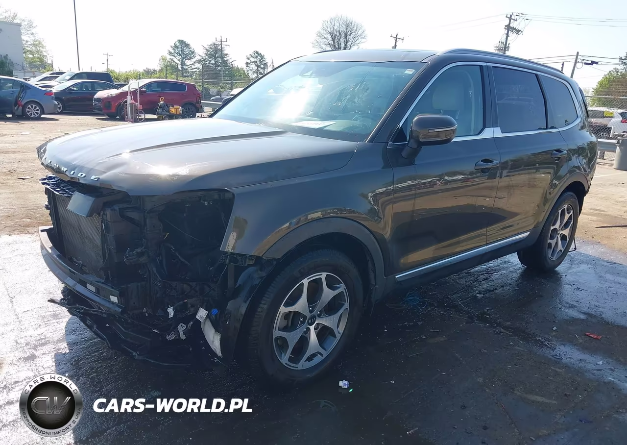 2020 Kia Telluride Ex VIN:5XYP34HC4LG012954 - 2