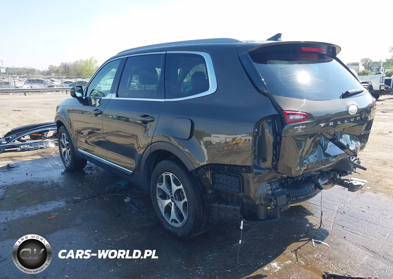 2020 Kia Telluride Ex VIN:5XYP34HC4LG012954 - 3