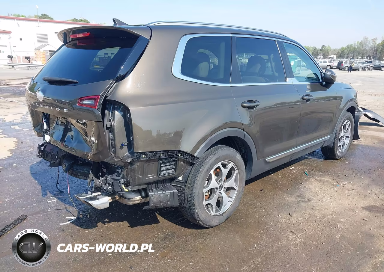 2020 Kia Telluride Ex VIN:5XYP34HC4LG012954 - 4