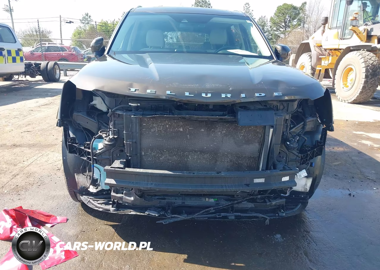 2020 Kia Telluride Ex VIN:5XYP34HC4LG012954 - 6