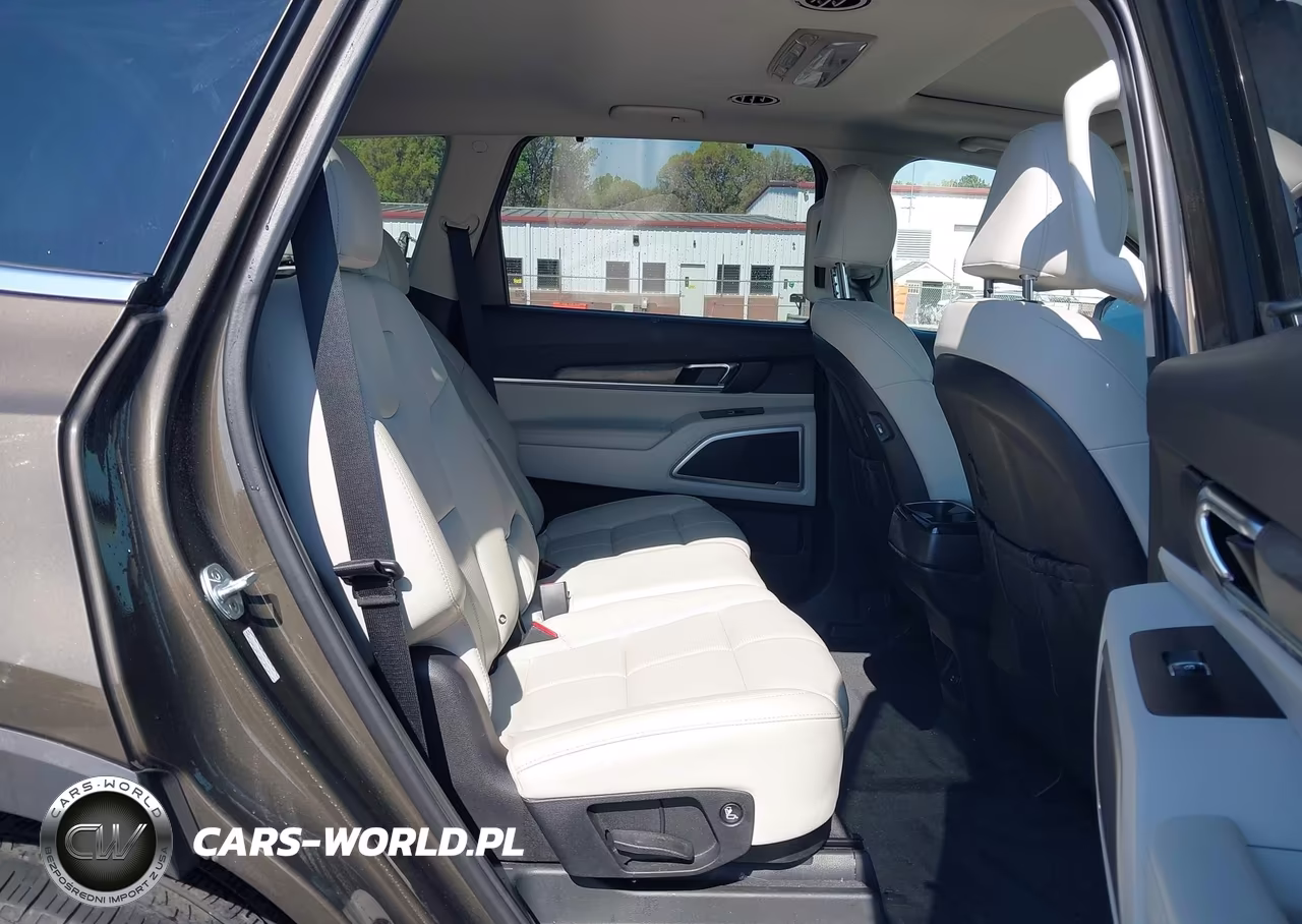 2020 Kia Telluride Ex VIN:5XYP34HC4LG012954 - 8