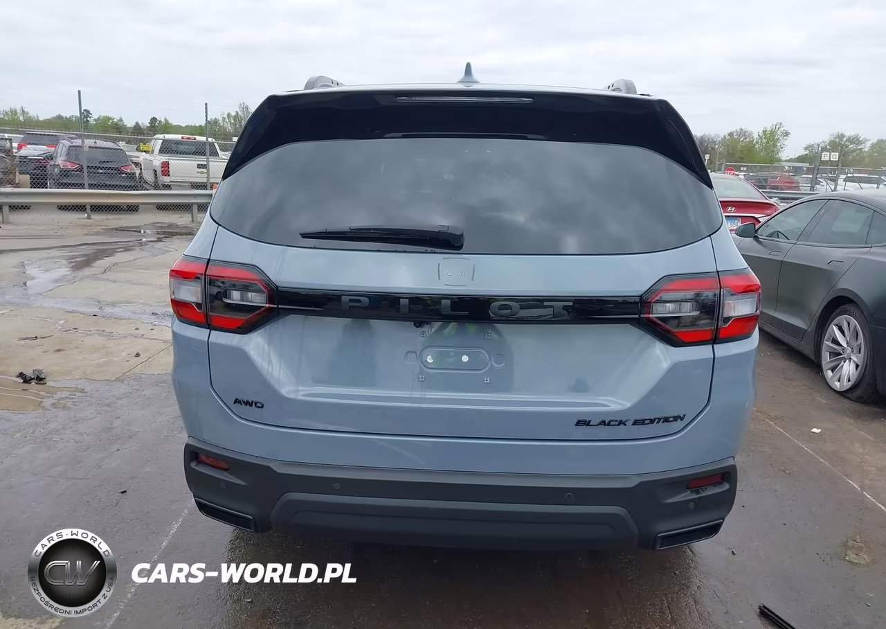 2025 Honda Pilot Black Edition VIN:5FNYG1H94SB124493 - 17