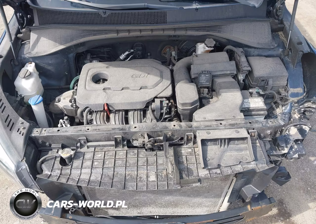 2019 Kia Sorento 2.4L Lx VIN:5XYPGDA30KG525454 - 10