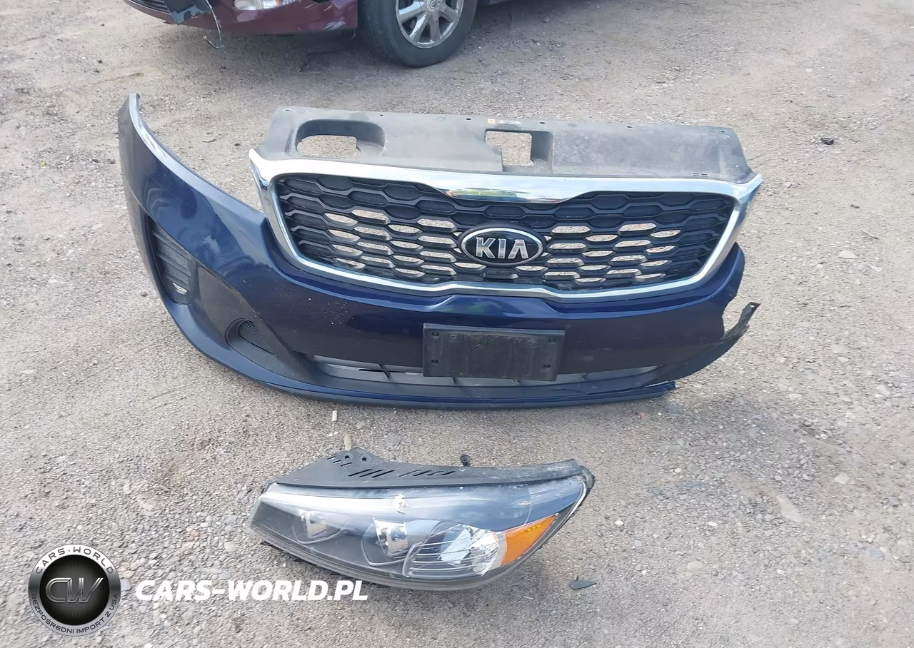2019 Kia Sorento 2.4L Lx VIN:5XYPGDA30KG525454 - 12