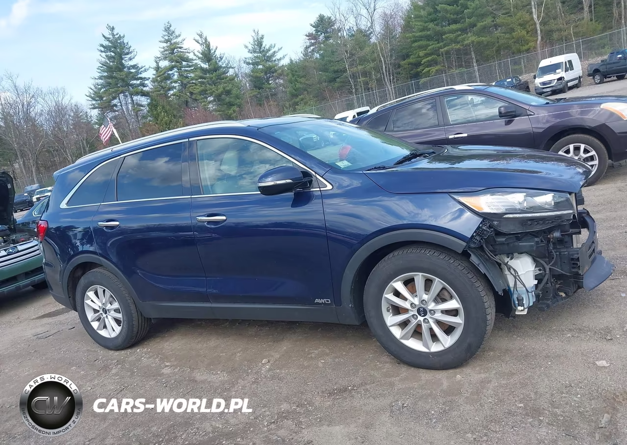 2019 Kia Sorento 2.4L Lx VIN:5XYPGDA30KG525454 - 14