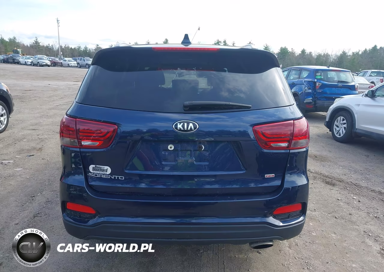 2019 Kia Sorento 2.4L Lx VIN:5XYPGDA30KG525454 - 17
