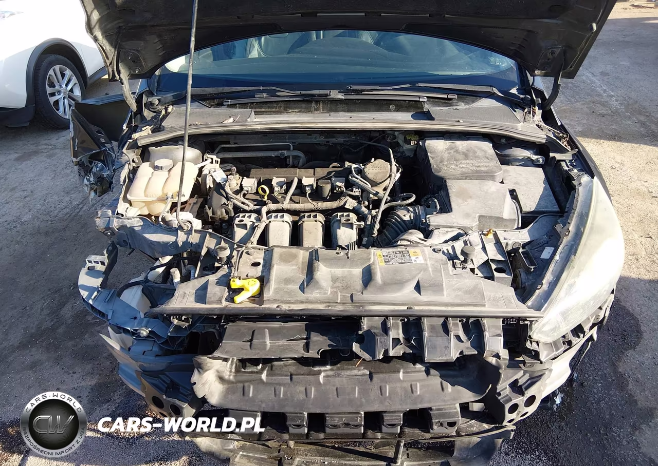 2016 Ford Focus Se VIN:1FADP3F21GL290691 - 10
