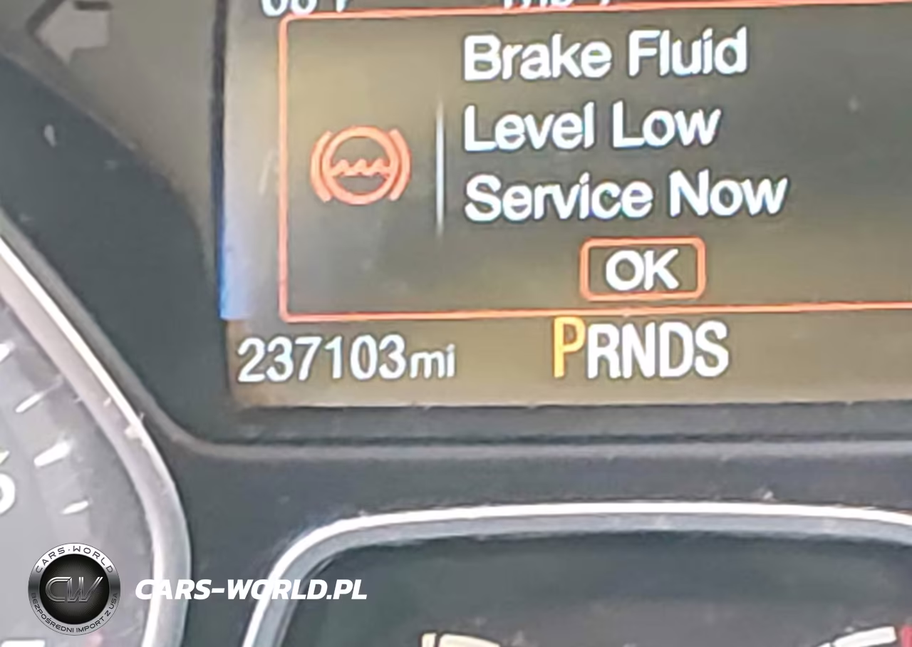 2016 Ford Focus Se VIN:1FADP3F21GL290691 - 16