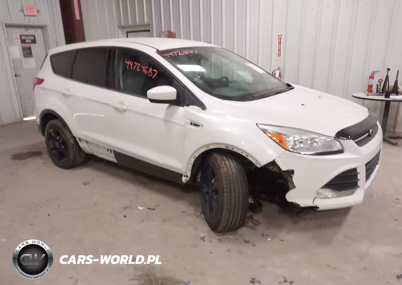 2013 Ford Escape Se