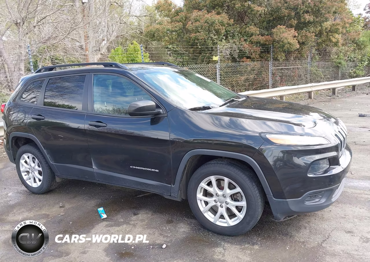 2016 Jeep Cherokee Sport VIN:1C4PJLAB6GW222532 - 13