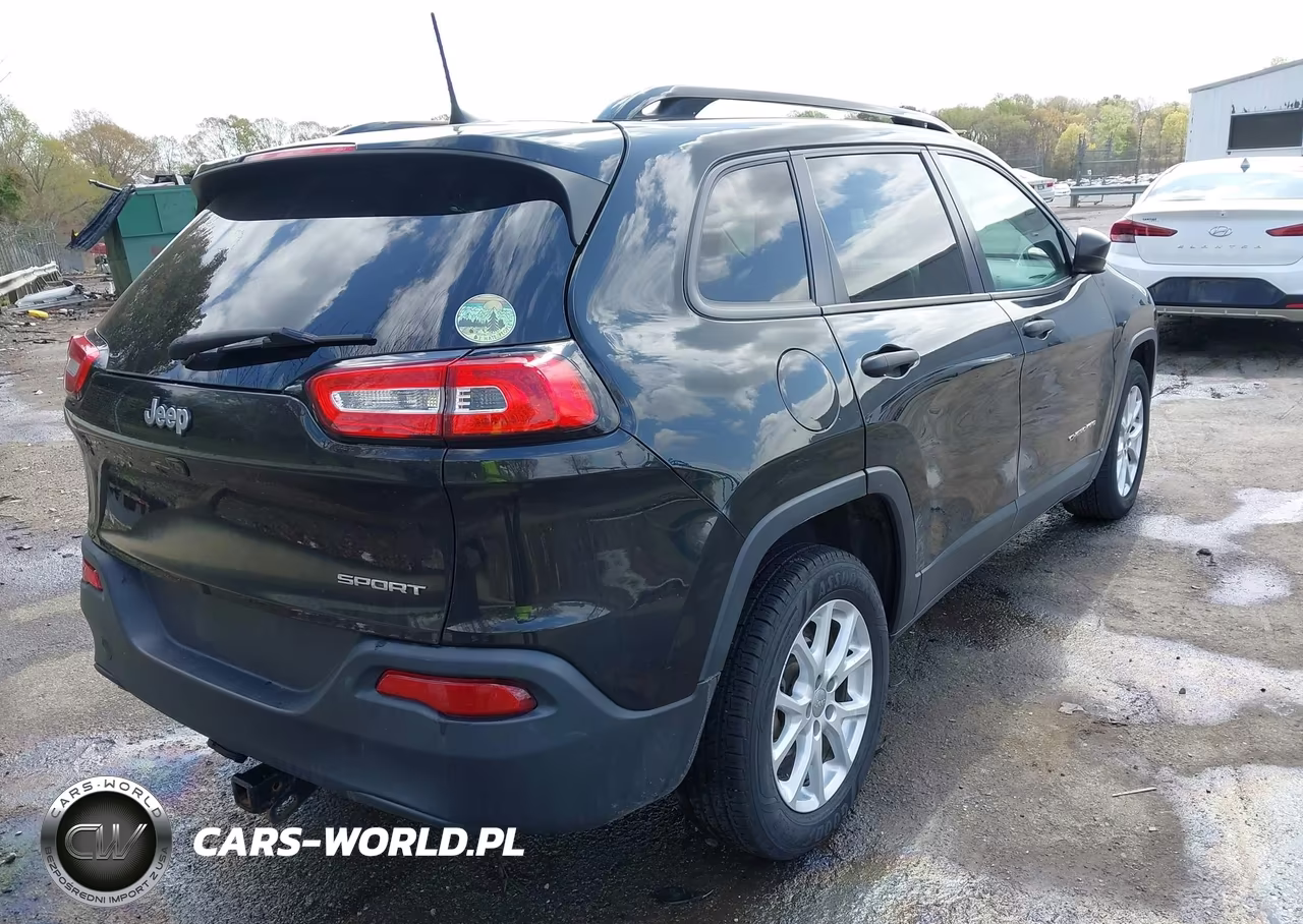 2016 Jeep Cherokee Sport VIN:1C4PJLAB6GW222532 - 4