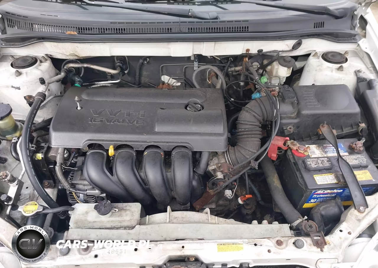 2004 Toyota Corolla Ce VIN:1NXBR32E14Z215826 - 10