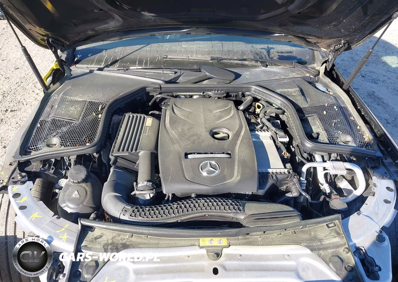 2017 Mercedes-Benz C 300 VIN:55SWF4JB0HU219794 - 10