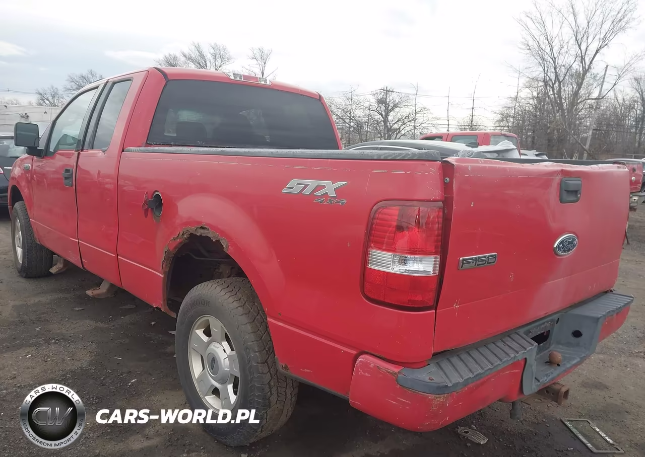 2004 Ford F-150 Stx-Xl-Xlt VIN:1FTRX14W54NB06847 - 13