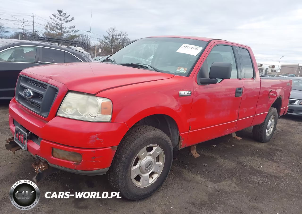 2004 Ford F-150 Stx-Xl-Xlt VIN:1FTRX14W54NB06847 - 2
