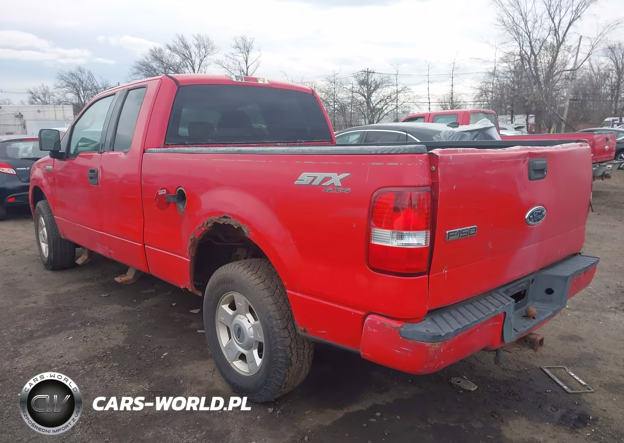 2004 Ford F-150 Stx-Xl-Xlt VIN:1FTRX14W54NB06847 - 3