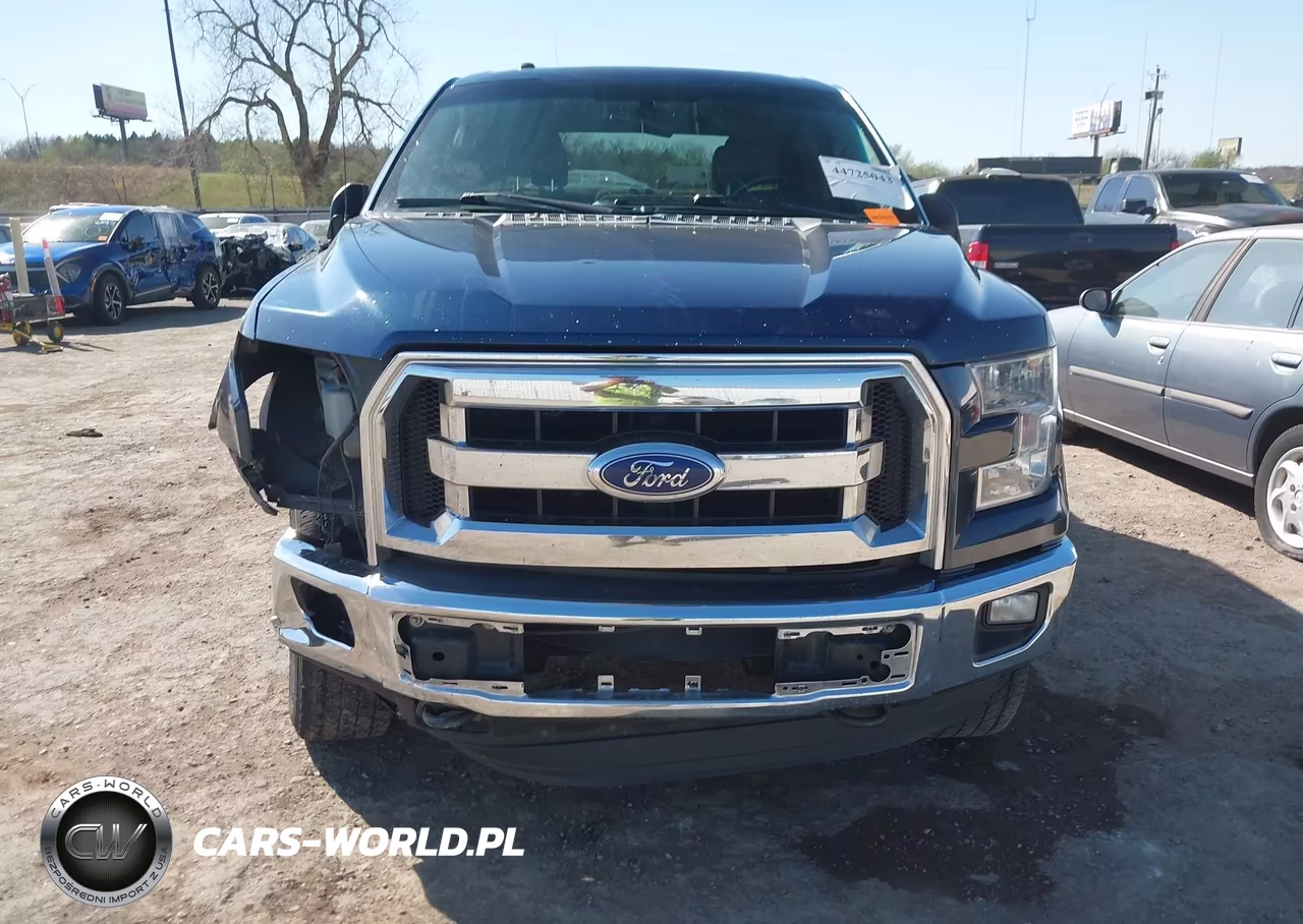 2015 Ford F-150 Xlt VIN:1FTEW1EF0FKE71344 - 13