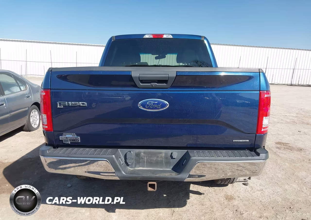 2015 Ford F-150 Xlt VIN:1FTEW1EF0FKE71344 - 17