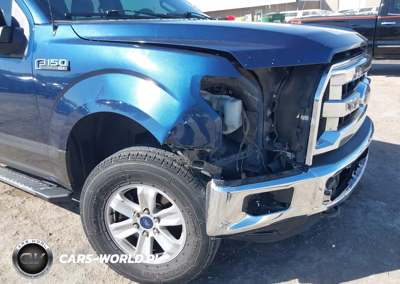 2015 Ford F-150 Xlt VIN:1FTEW1EF0FKE71344 - 6
