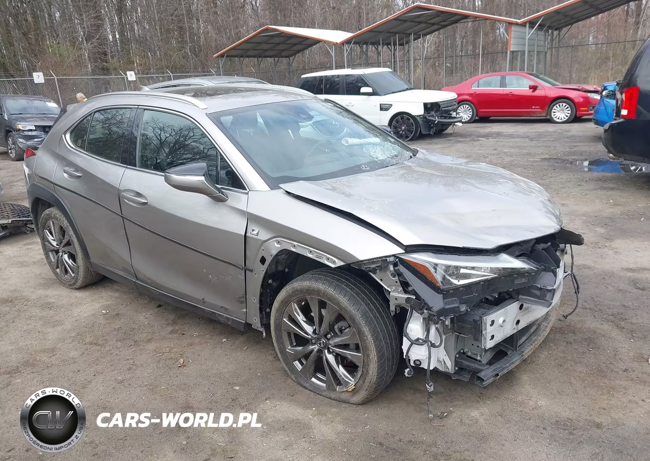 2019 Lexus Ux 250H F Sport