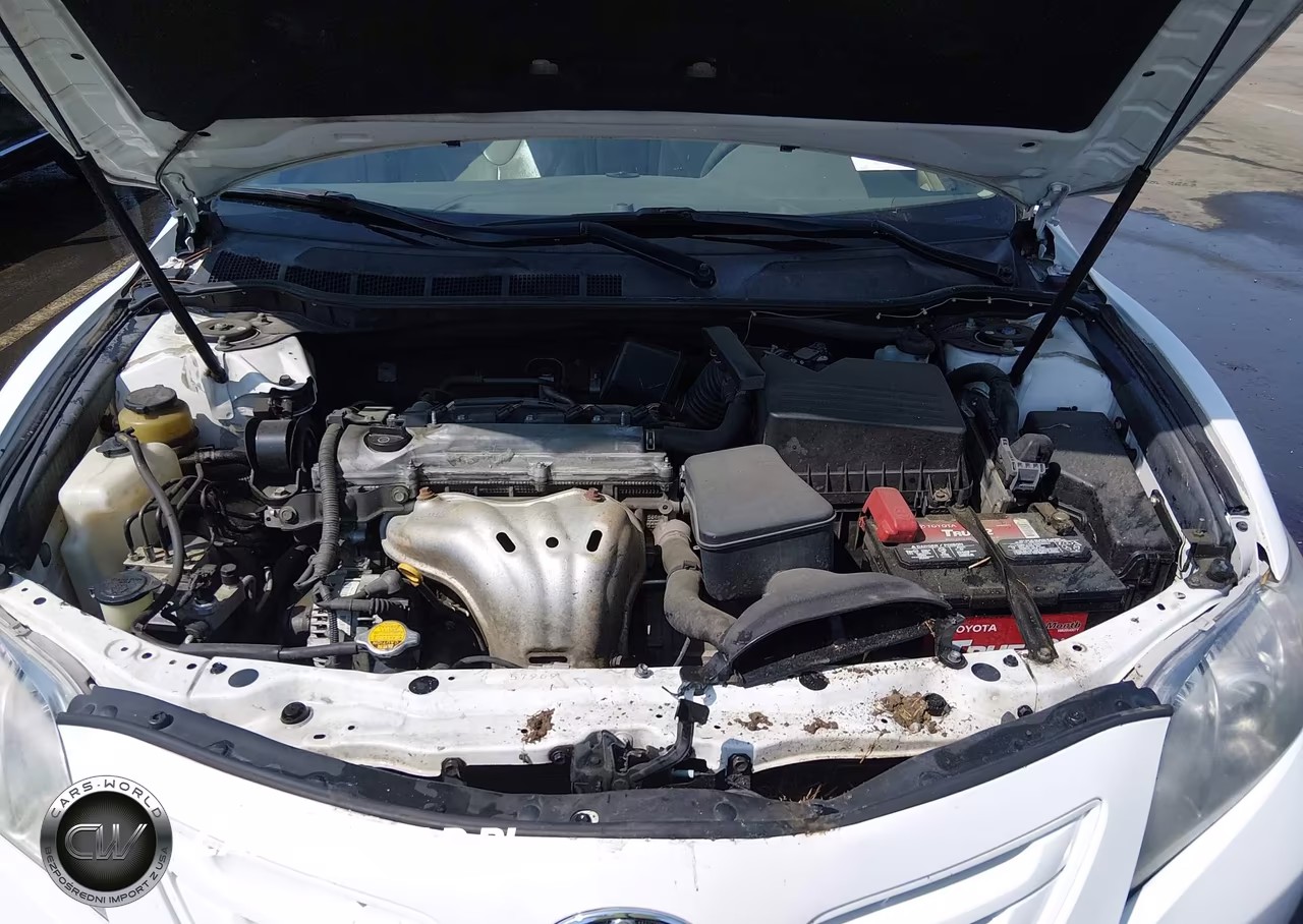 2009 Toyota Camry Le VIN:4T1BE46K19U878564 - 10