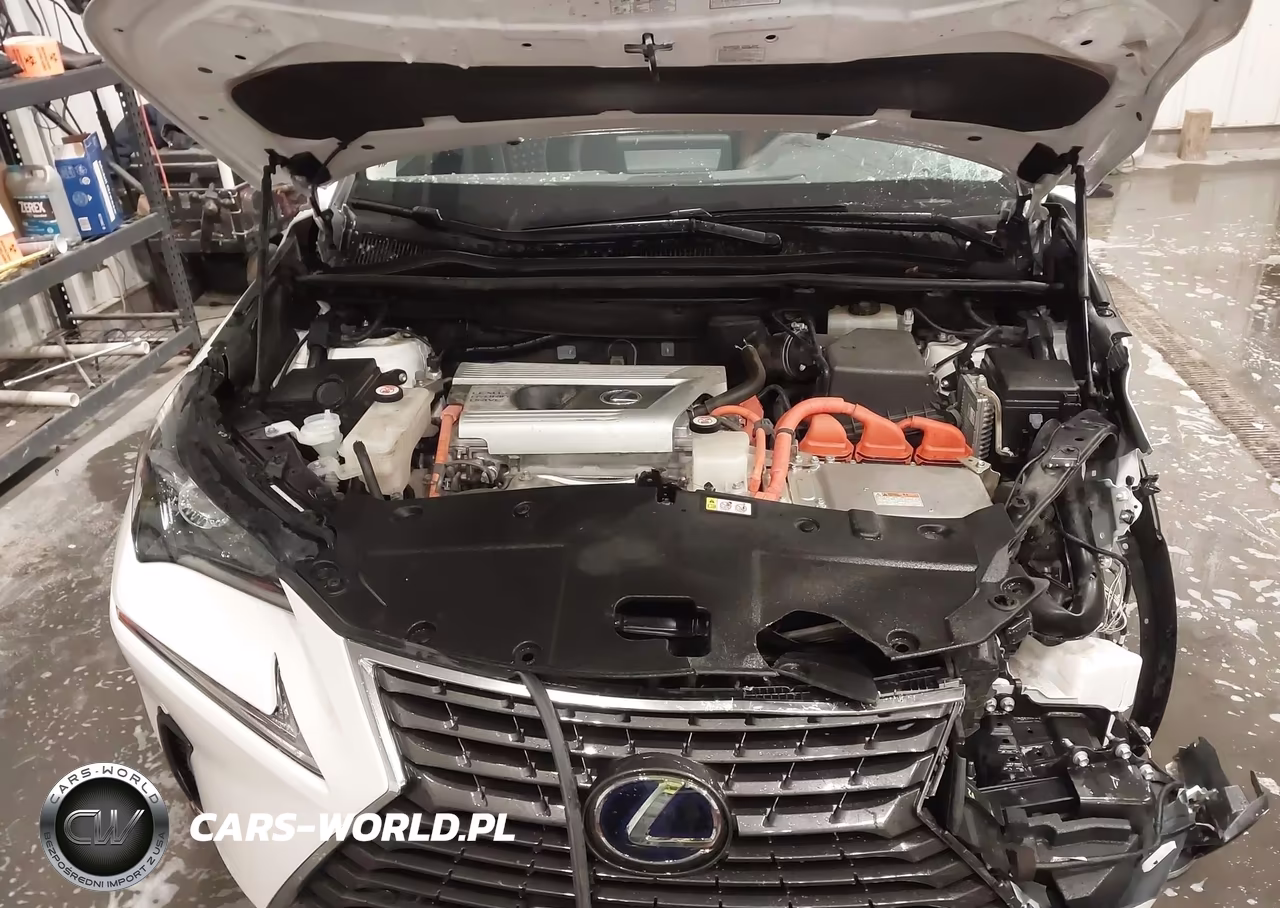 2020 Lexus Nx 300H VIN:JTJGJRDZ2L5000983 - 10