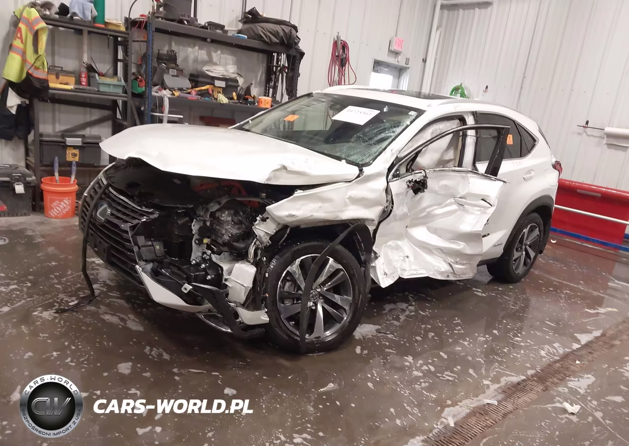 2020 Lexus Nx 300H VIN:JTJGJRDZ2L5000983 - 2
