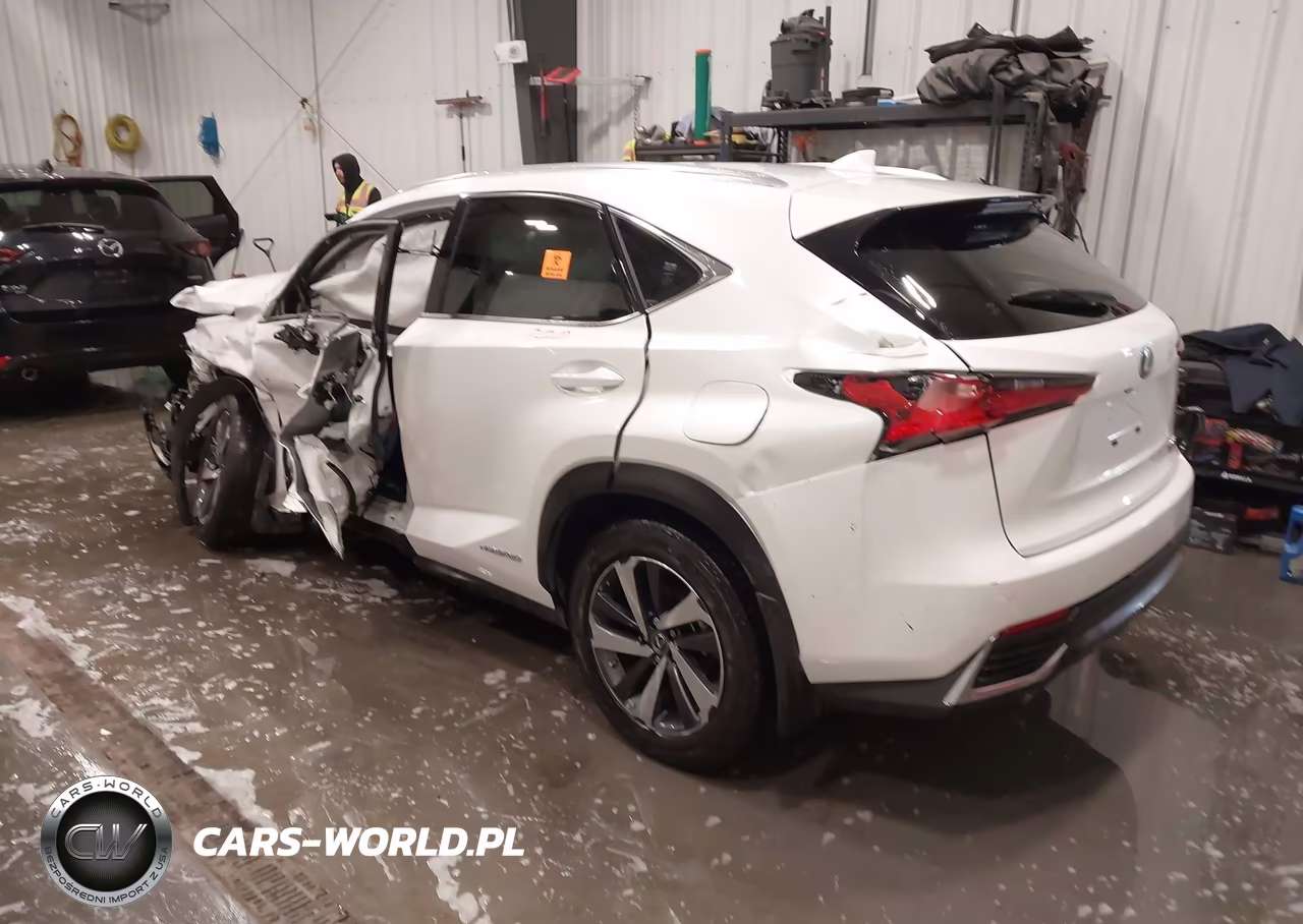2020 Lexus Nx 300H VIN:JTJGJRDZ2L5000983 - 3
