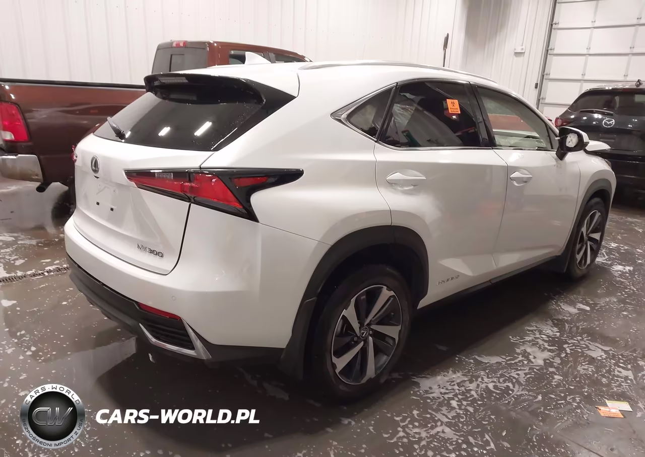 2020 Lexus Nx 300H VIN:JTJGJRDZ2L5000983 - 4