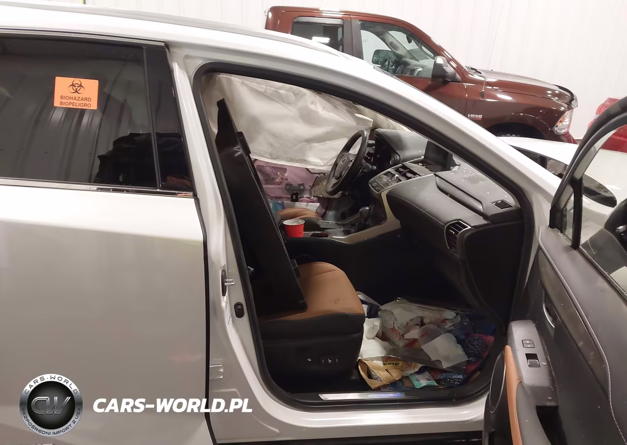 2020 Lexus Nx 300H VIN:JTJGJRDZ2L5000983 - 5