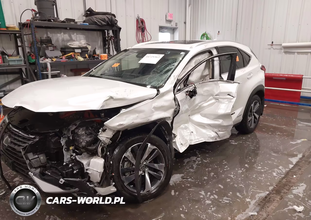2020 Lexus Nx 300H VIN:JTJGJRDZ2L5000983 - 6