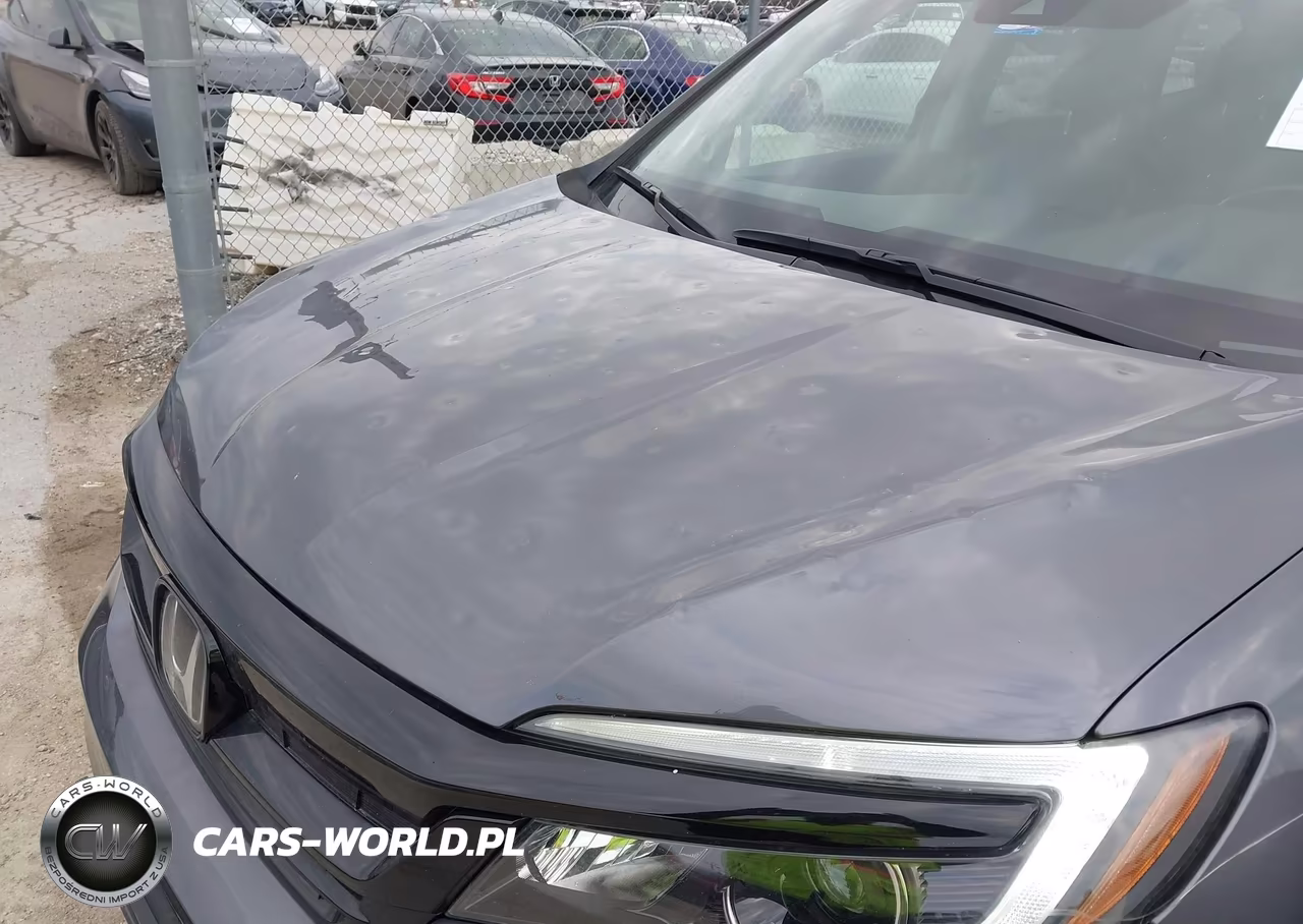 2021 Honda Pilot Awd Special Edition VIN:5FNYF6H23MB023421 - 17