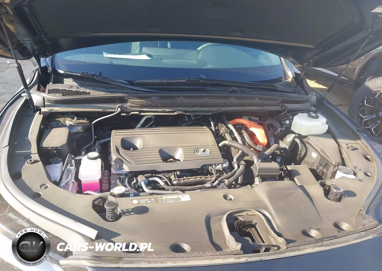 2025 Lexus Rx 350H Premium VIN:2T2BBMCA3SC098749 - 10