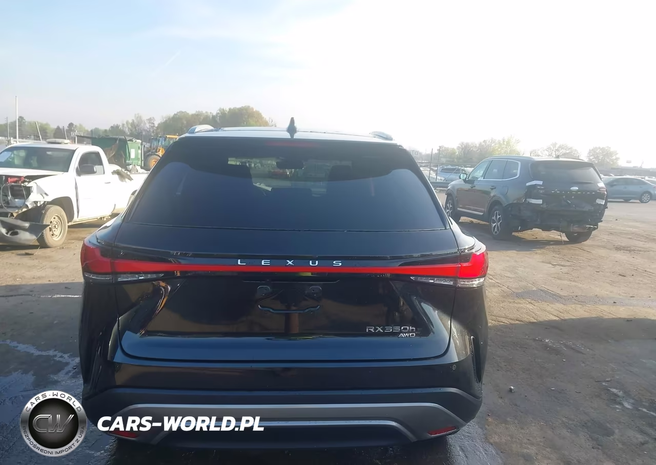 2025 Lexus Rx 350H Premium VIN:2T2BBMCA3SC098749 - 16