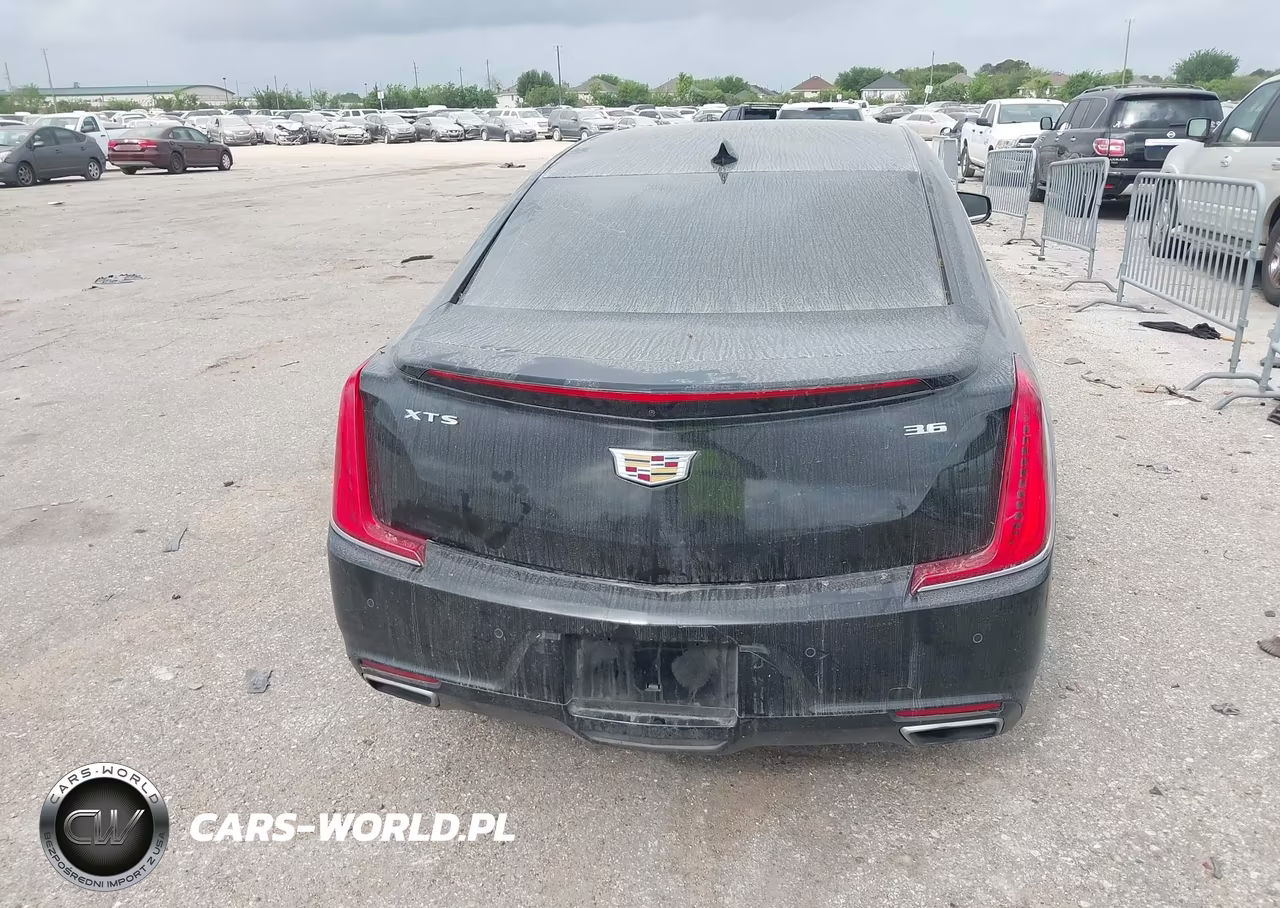 2019 Cadillac Xts Luxury VIN:2G61M5S31K9110869 - 16