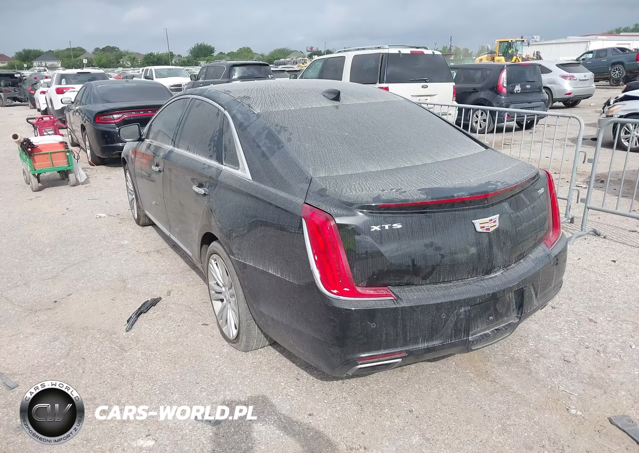 2019 Cadillac Xts Luxury VIN:2G61M5S31K9110869 - 3