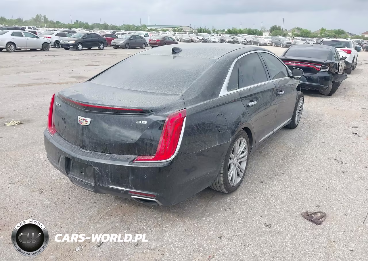 2019 Cadillac Xts Luxury VIN:2G61M5S31K9110869 - 4