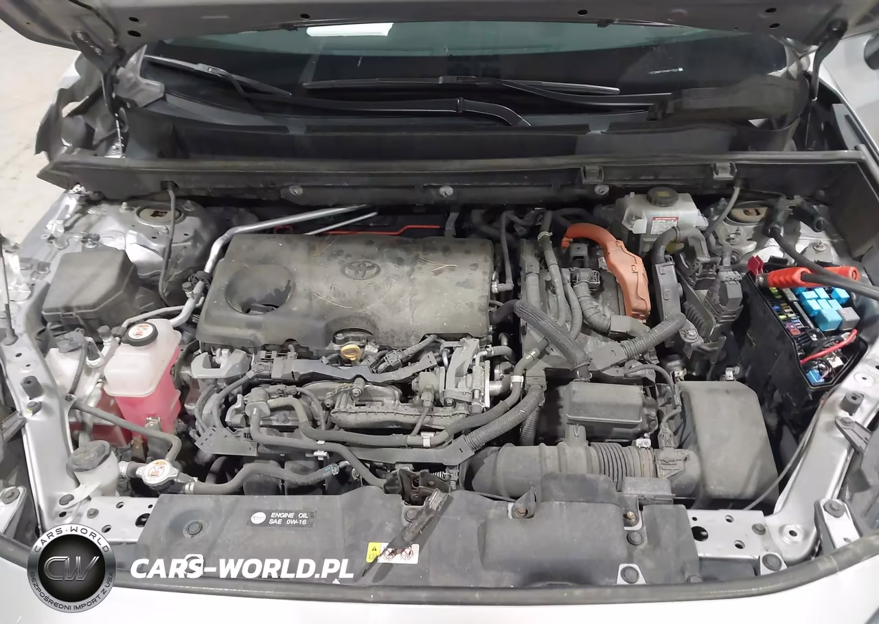 2019 Toyota Rav4 Hybrid Le VIN:2T3MWRFVXKW013814 - 10