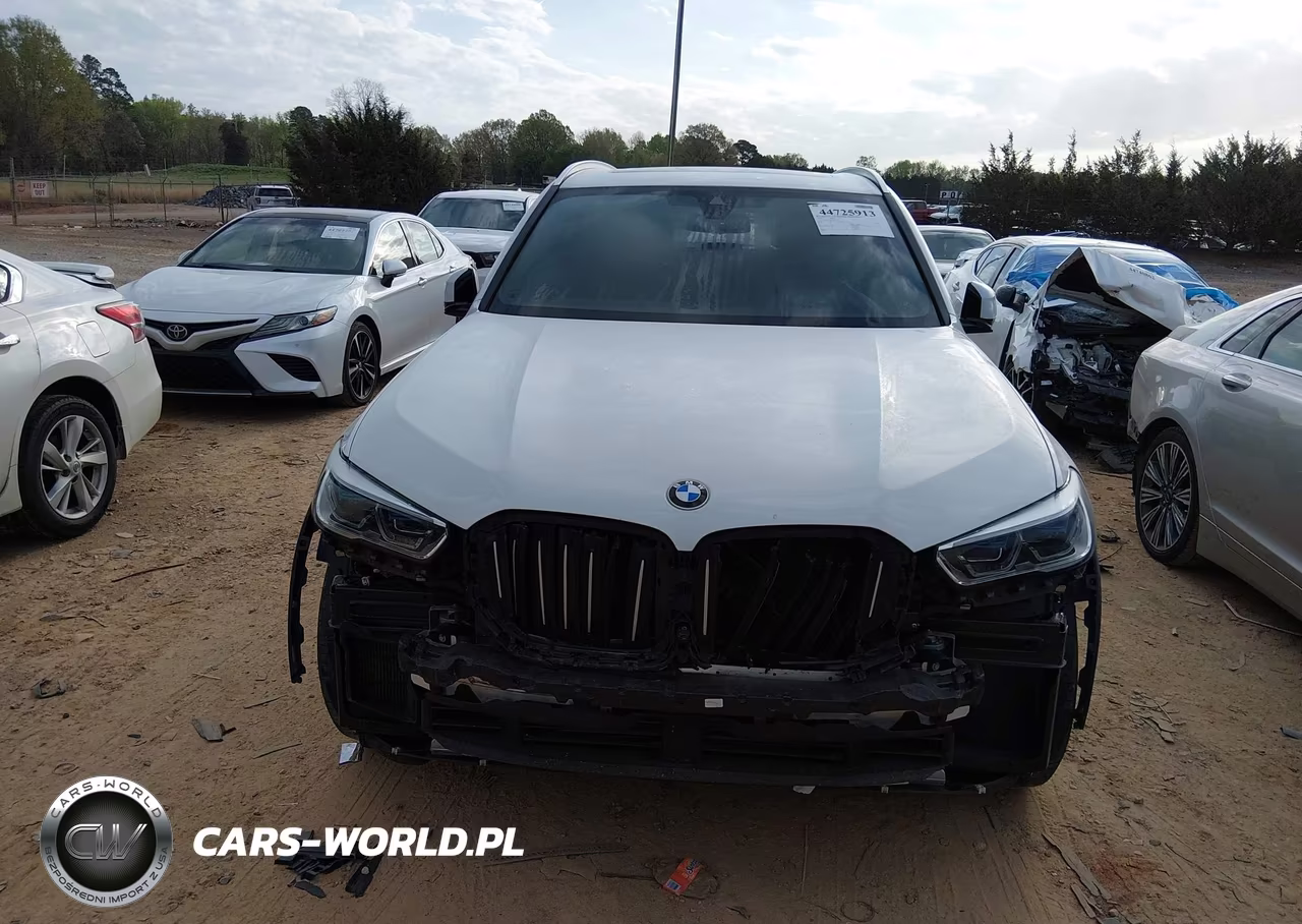 2021 BMW X5 Sdrive40I VIN:5UXCR4C06M9G22059 - 12