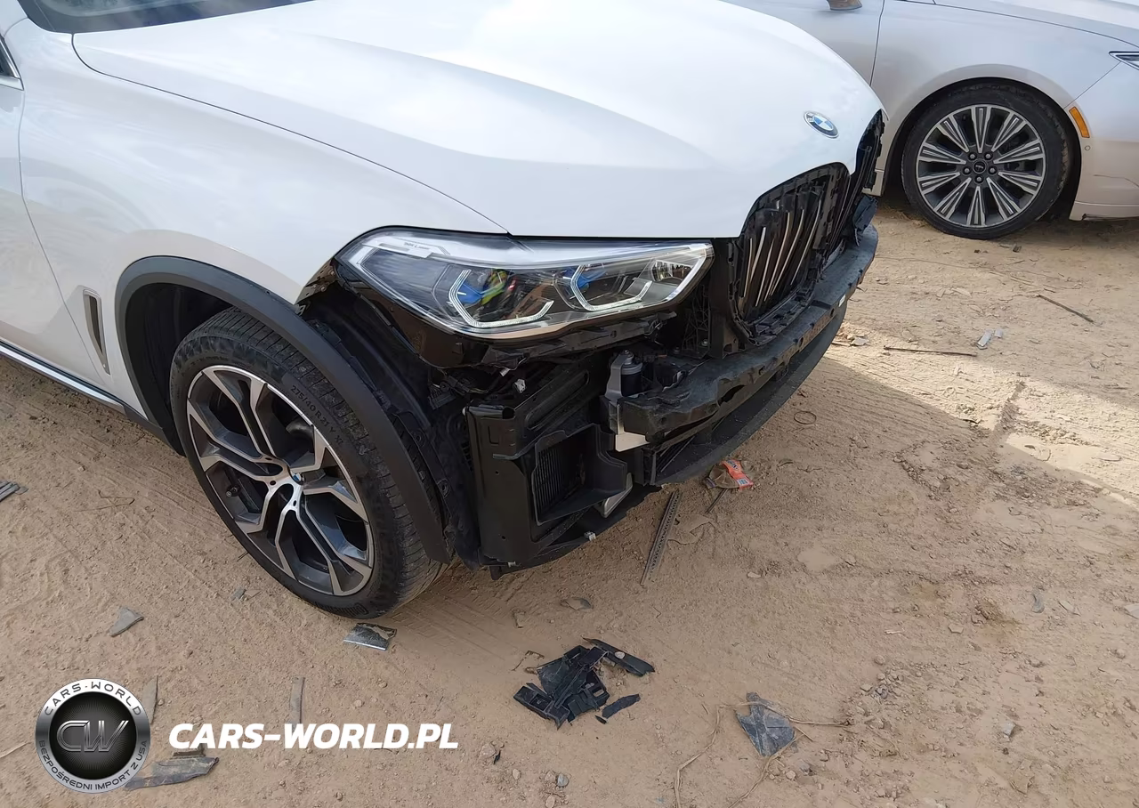 2021 BMW X5 Sdrive40I VIN:5UXCR4C06M9G22059 - 17