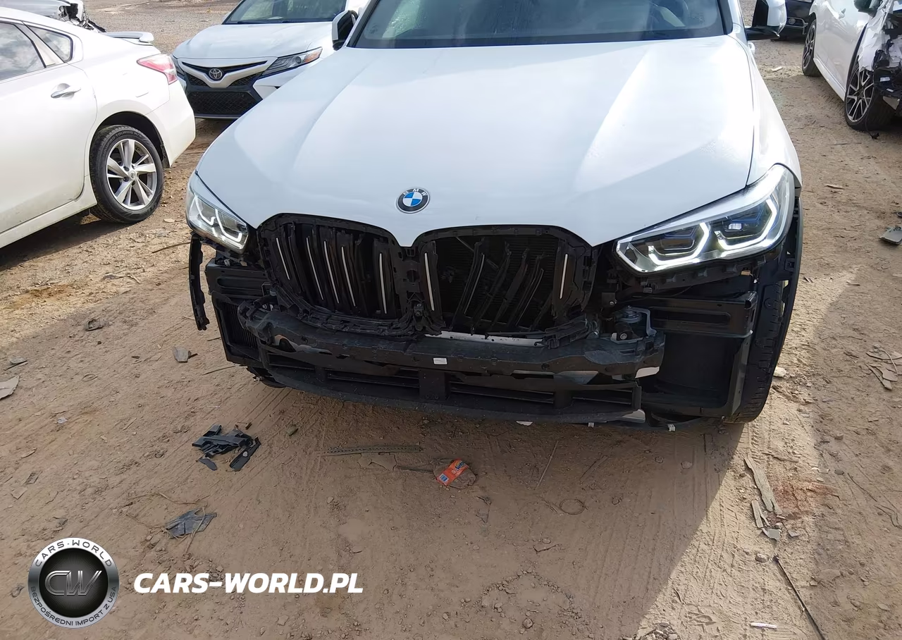 2021 BMW X5 Sdrive40I VIN:5UXCR4C06M9G22059 - 6