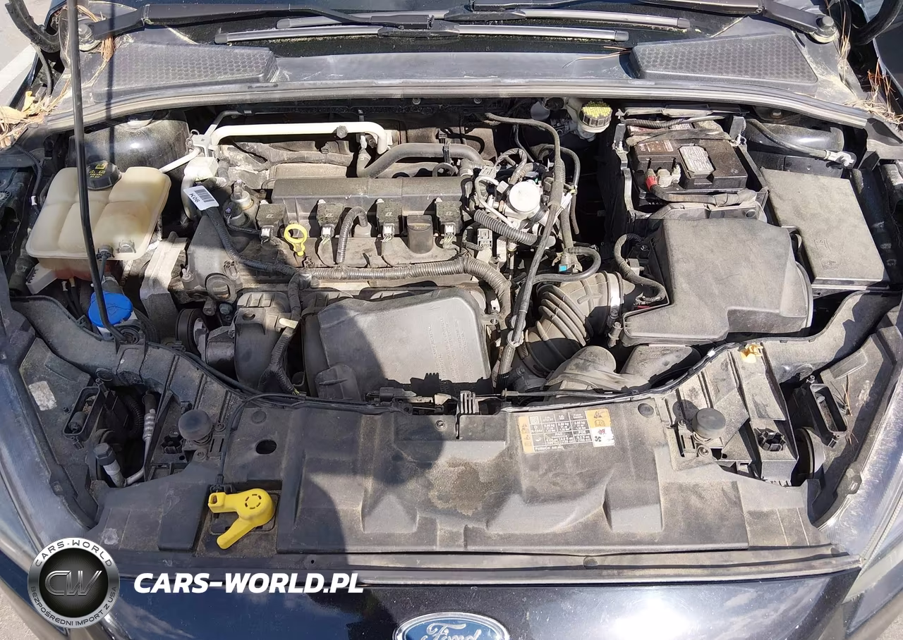 2016 Ford Focus Se VIN:1FADP3K21GL339927 - 10