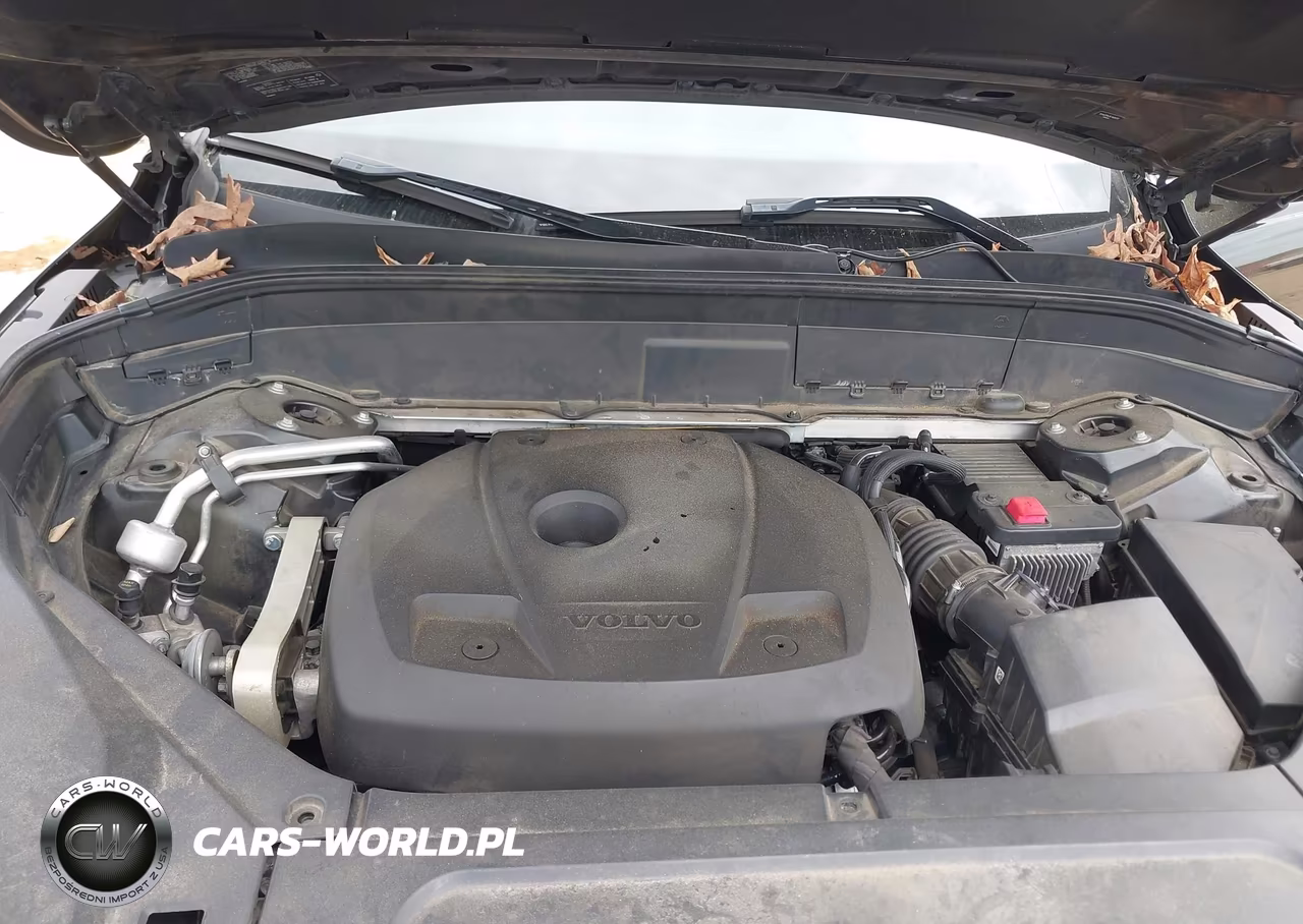 2019 Volvo Xc90 T6 Momentum VIN:YV4A22PK5K1485070 - 10