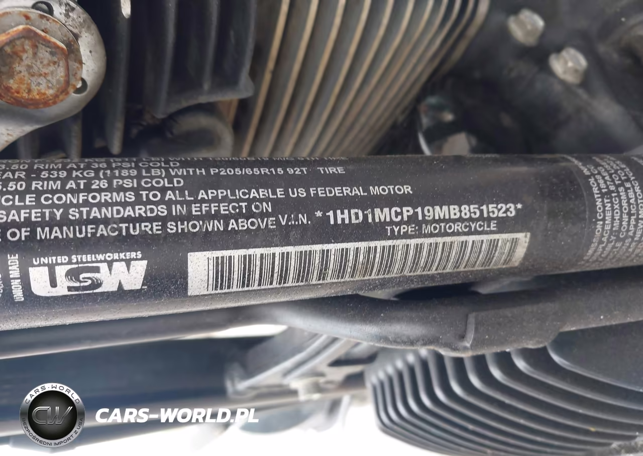 2021 Harley-Davidson Flrt VIN:1HD1MCP19MB851523 - 10