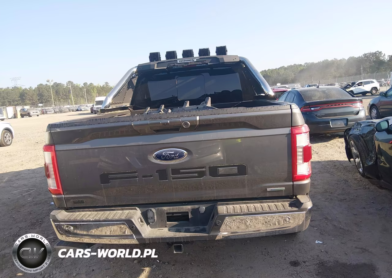 2021 Ford F-150 Lariat VIN:1FTEW1EP6MKD08624 - 17