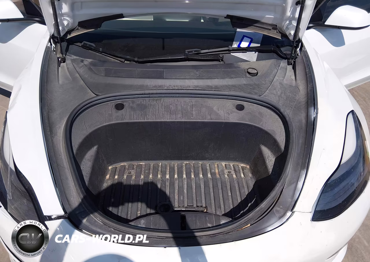 2023 Tesla Model 3 Rear-Wheel Drive VIN:5YJ3E1EA9PF567034 - 10