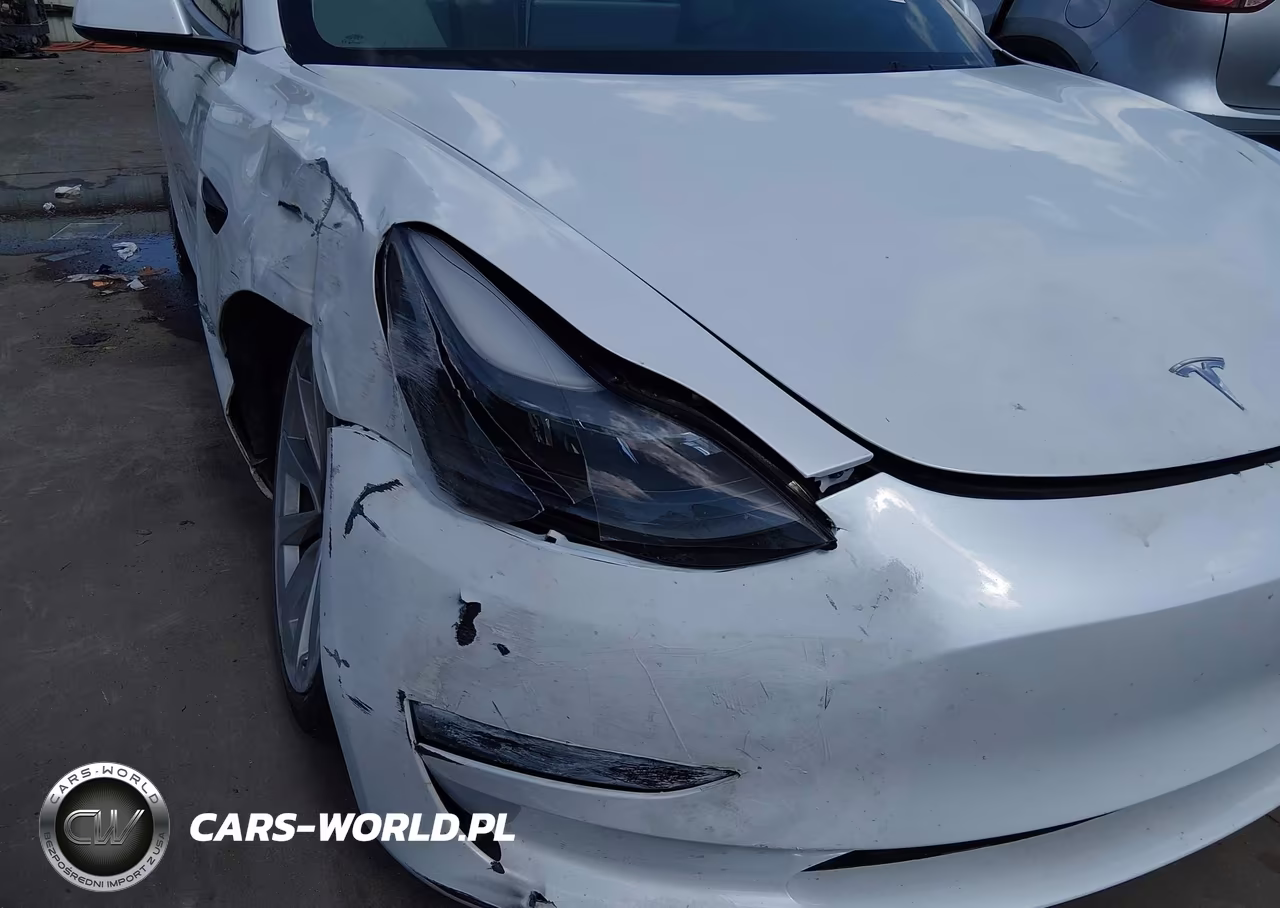 2023 Tesla Model 3 Rear-Wheel Drive VIN:5YJ3E1EA9PF567034 - 19