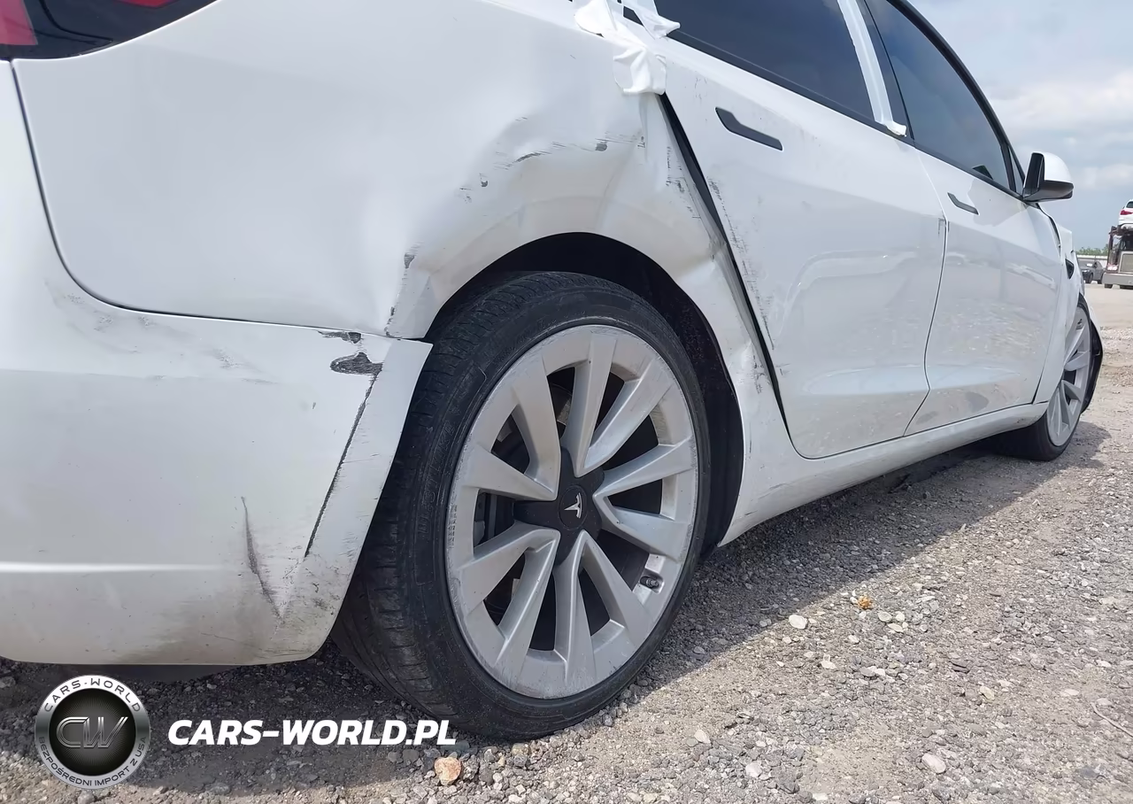 2023 Tesla Model 3 Rear-Wheel Drive VIN:5YJ3E1EA9PF567034 - 23